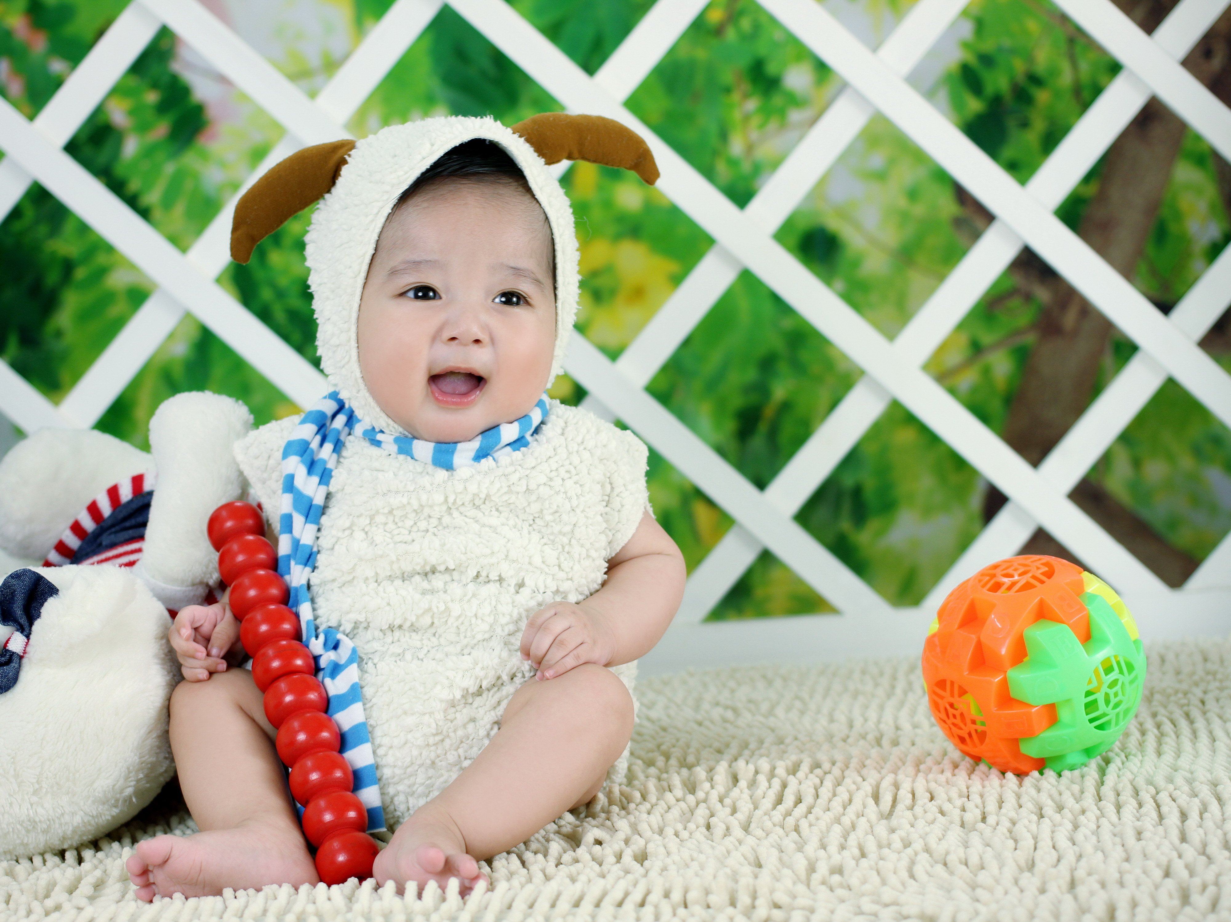 唐山正规捐卵机构2015年试管婴儿成功率